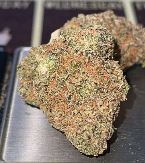 TROPICAL RUNTZ  3.5g INDOOR 26% HYBRID/ Sativa dominant