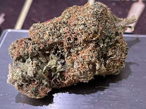 TROPICAL RUNTZ  3.5g INDOOR 26% HYBRID/ Sativa dominant