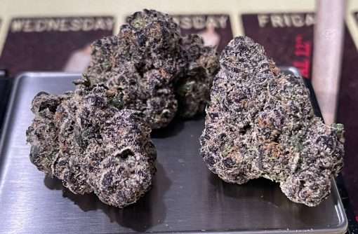 GIRAFFE  PUZZY 3.5g HYBRID 36%THC 🔥🔥 EXOTICS 🔥 NEW BATCh 4/10/🔥🔥