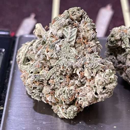 BLUE BISCOTTI 3.5g   INDICA  🔥🔥🔥 INDOOR