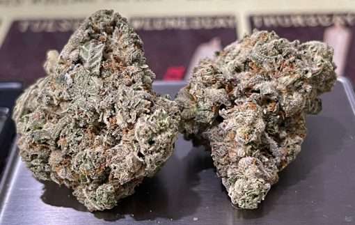 BLUE BISCOTTI 3.5g   INDICA  🔥🔥🔥 INDOOR