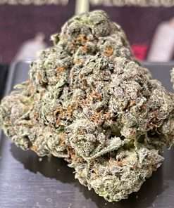 Blue Biscotti 3.5g Indica