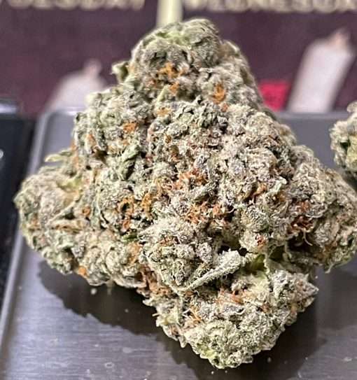 BLUE BISCOTTI 3.5g   INDICA  🔥🔥🔥 INDOOR