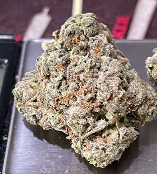 BLUE BISCOTTI 3.5g   INDICA  🔥🔥🔥 INDOOR