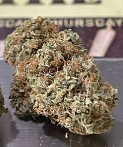indica delivery nyc