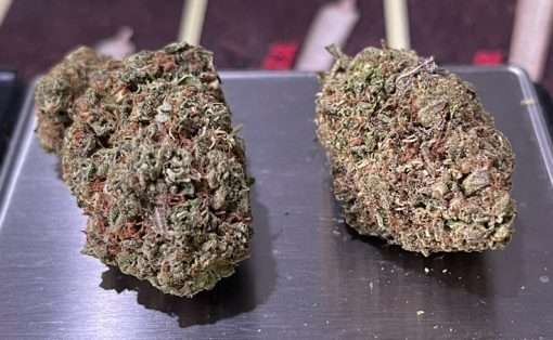 SHERBERT GELATO 28g OZ ON SALE INDICA 🔥🔥
