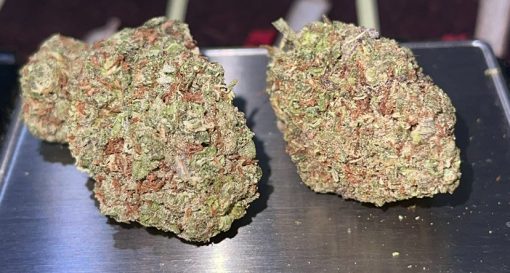 SHERBERT GELATO 28g OZ ON SALE INDICA 🔥🔥