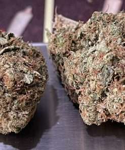Girl Scout Cookies 3.5g Indoor Indica 25%thc