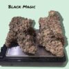 BLACK MAGIC 3.5g INDICA EXOTIC BATCH LIMITED DROP 🔥🔥🔥 37%THC WIZARD TREES