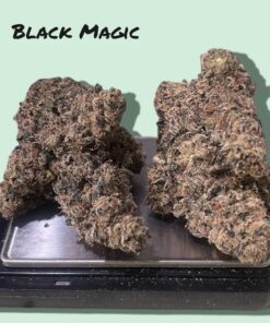 BLACK MAGIC 3.5g INDICA EXOTIC BATCH LIMITED DROP 🔥🔥🔥 37%THC WIZARD TREES