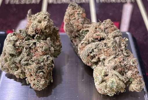CINDERELLA99 3.5g SATIVA INDOOR 🔥🔥28%THC