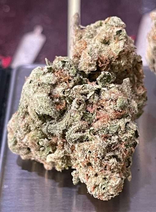 CINDERELLA99 3.5g SATIVA INDOOR 🔥🔥28%THC