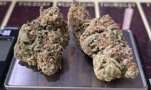 CINDERELLA99 3.5g SATIVA INDOOR 🔥🔥28%THC