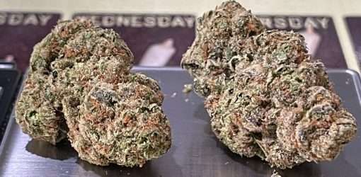 PINK RUNTZ 28g OZ HYBRID ON SALE 🔥🔥27%THC