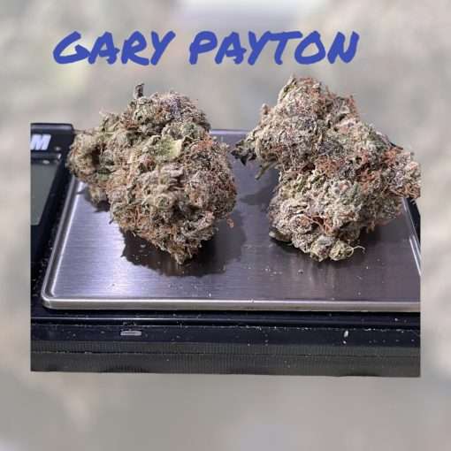 GARY PAYTON 28g OZ ON SALE HYBRID 🔥🔥INDOOR 28%THC