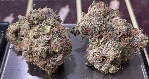 GARY PAYTON 28g OZ ON SALE HYBRID 🔥🔥INDOOR 28%THC