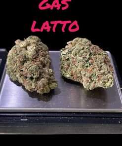 Gaslato 28g Ounce On Sale Hybrid