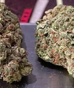 Gaslato 28g Ounce On Sale Hybrid