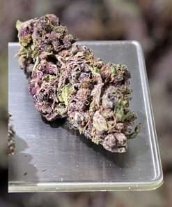 PURPLE HAZE 7gSATIVA ON SALE 🔥🔥26% QUARTER