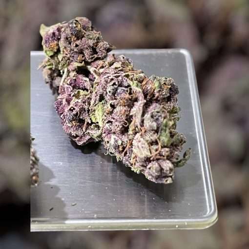 PURPLE HAZE 7gSATIVA ON SALE 🔥🔥26% QUARTER