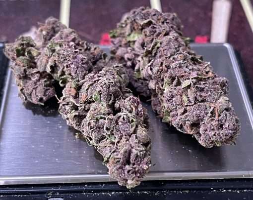 PURPLE HAZE 7gSATIVA ON SALE 🔥🔥26% QUARTER