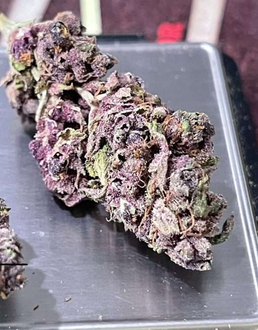 PURPLE HAZE 7gSATIVA ON SALE 🔥🔥26% QUARTER