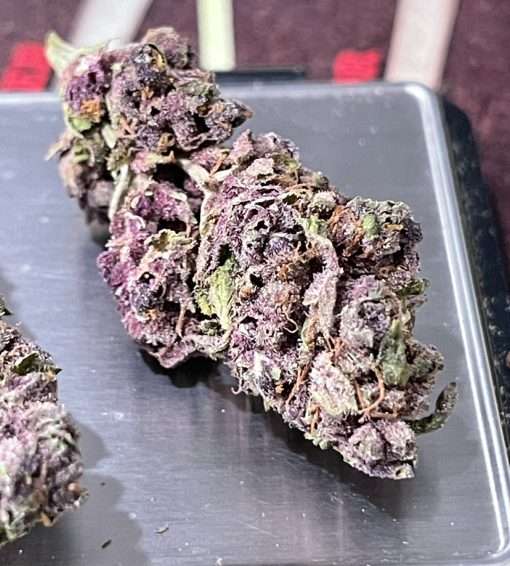 PURPLE HAZE 7gSATIVA ON SALE 🔥🔥26% QUARTER