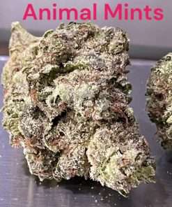 animals mints nyc