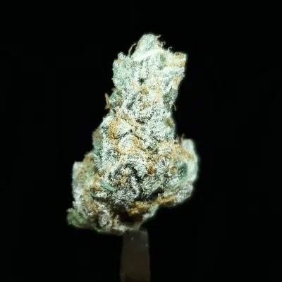 Sour Apple Killer