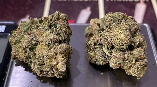 SKITTLES 28g OZ ON SALE HYBRID  🔥🔥