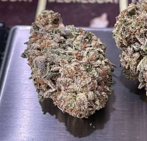 BUTTERSCOTCH 28g OZ INDICA ON SALE 🔥🔥