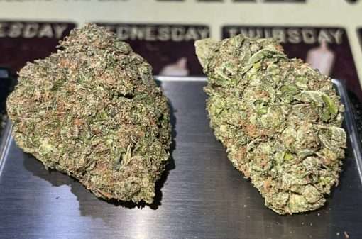 LEMON CHERRY GELATO 28g OZ ON SALE 🔥🔥 26%THC FRESH BATCH