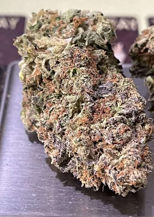 Gary Payton🔥🔥28g OZ ON SALE $100 Hybrid SALE !! NEW BATCH