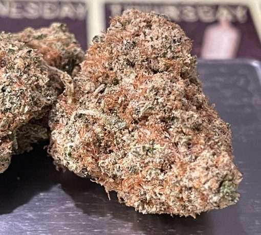 GHOST TRAIN HAZE 3.5g SATIVA 🔥🔥🔥29%THC INDOOR NEW BATCH