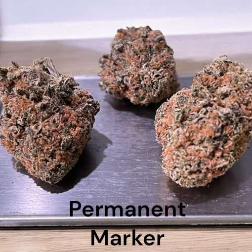 PERMANENT MARKER  3.5 INDICA 30%THC INDOOR 🔥🔥