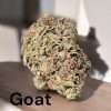 BOLO RUNTZ 28g OZ ON SALE INDOOR INDICA 27%THC
