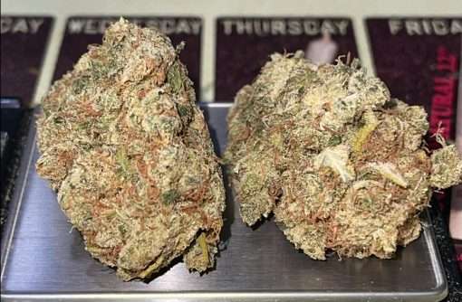 NORTHERN LIGHTS#5 x HAZE 28g OZ ON SALE SATIVA RARE EXOTIC🏆🏆 36%THC LIMITED BATCH 🔥🔥 🎉420 SALE 🎉