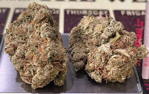 NORTHERN LIGHTS#5 x HAZE 28g OZ ON SALE SATIVA RARE EXOTIC🏆🏆 36%THC LIMITED BATCH 🔥🔥 🎉420 SALE 🎉