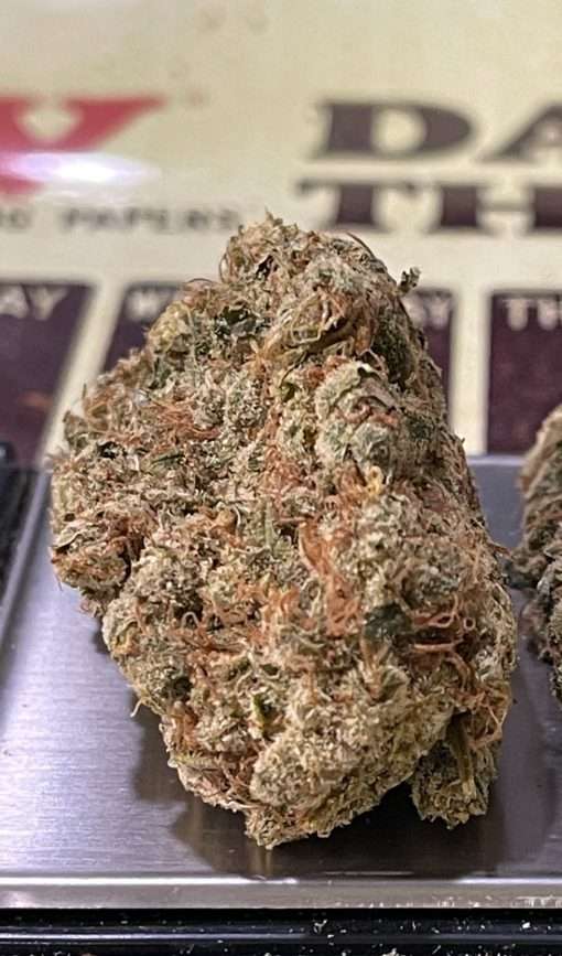 NORTHERN LIGHTS#5 x HAZE 28g OZ ON SALE SATIVA RARE EXOTIC🏆🏆 36%THC LIMITED BATCH 🔥🔥 🎉420 SALE 🎉