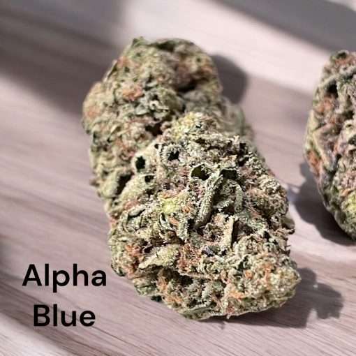 ALPHA BLUE 28g SATIVA on SALE 26%THC