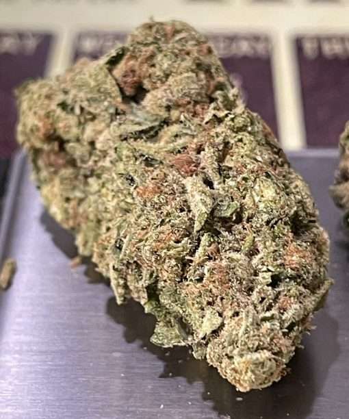 ALPHA BLUE 28g SATIVA on SALE 26%THC