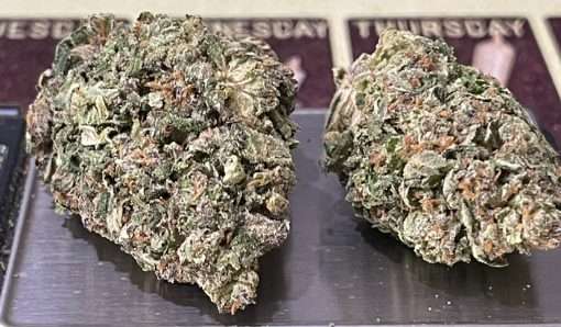 BLUE DREAM 28g OZ ON SALE 27%THC SATIVA 🔥🔥