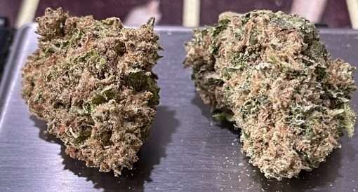 White widow OZ SALE  Sativa 28 grams 26% THC
