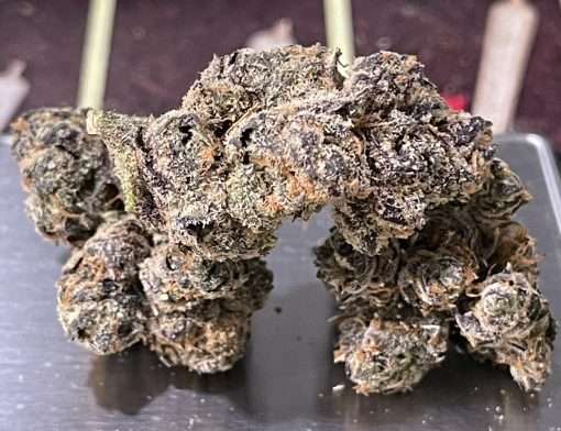 CHERRY TARTS 3.5g HYBRID 27%THC Indoor