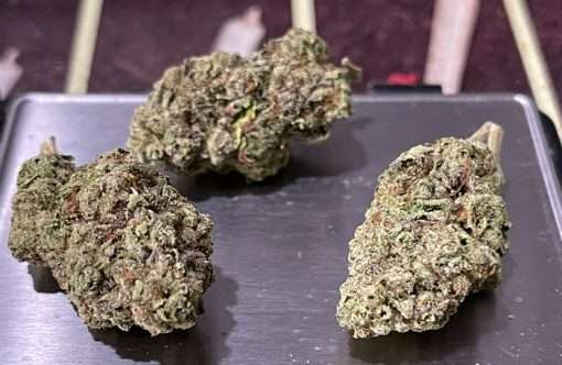 JAMAICAN DREAM28grams SATIVA ON SALE 🔥🔥 26%THC