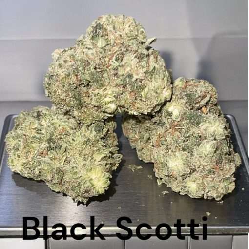 BLACK SCOTTI  3.5g INDICA  EXOTIC 35%THC  GRIZLY PEAK