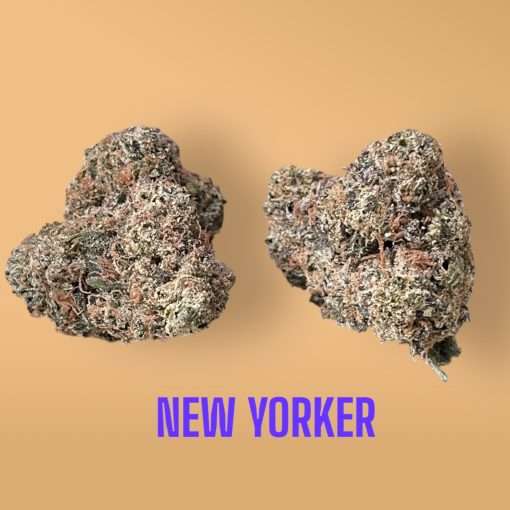 NEW YORKER 3.5g INDICA 32%THC 🔥🔥 INDOOR