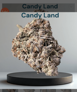 CANDY LAND 28grams OZ ON SALE SATIVA 26%THC