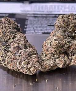 Manhattan GUM DROP 38% THC (GOONIES TED BUDS) INDICA EXOTICS 🔥🔥