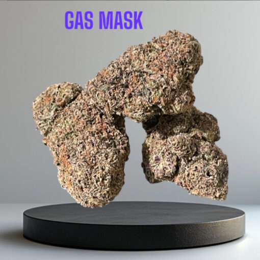 GAS MASK 3.5g INDICA 32%THC 🔥🔥
